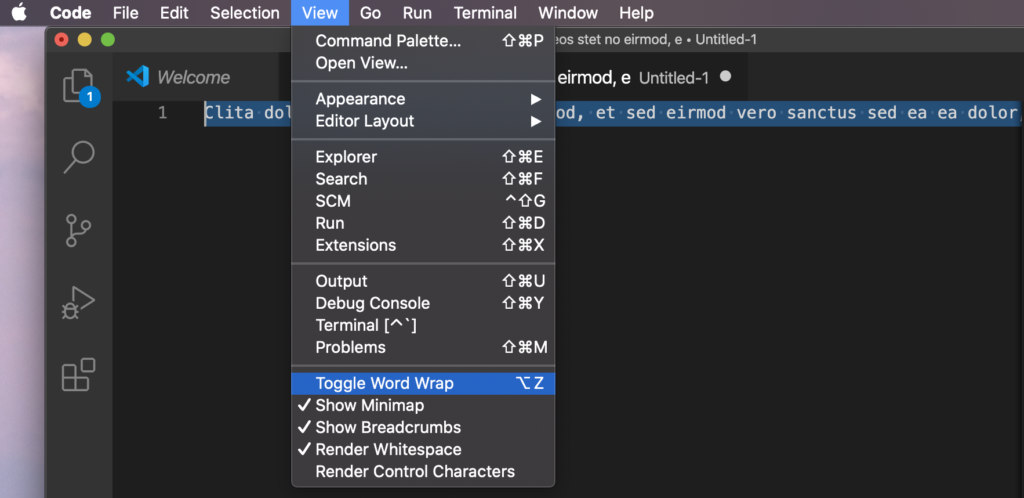 Visual Studio Code Mac View