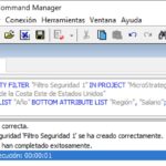 MicroStrategy Command Manager create security filter
